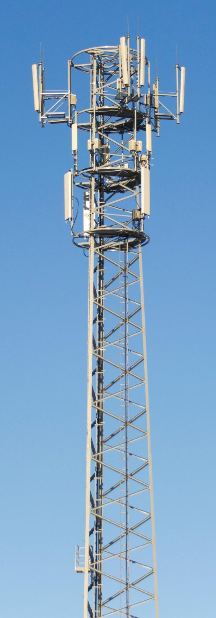 pexels-asphotograpy-94844